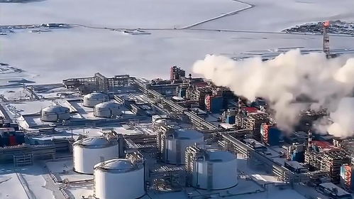 大鵝能源出口轉(zhuǎn)向亞洲 經(jīng)濟(jì)命脈的新挑戰(zhàn)與西方制裁的陰影