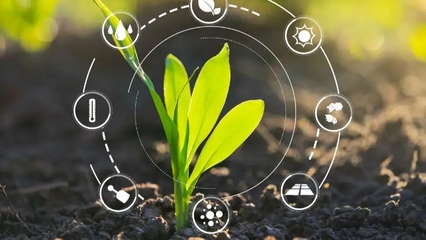 菜東家官網資源全解析 賦能農業產業鏈的數字新生態